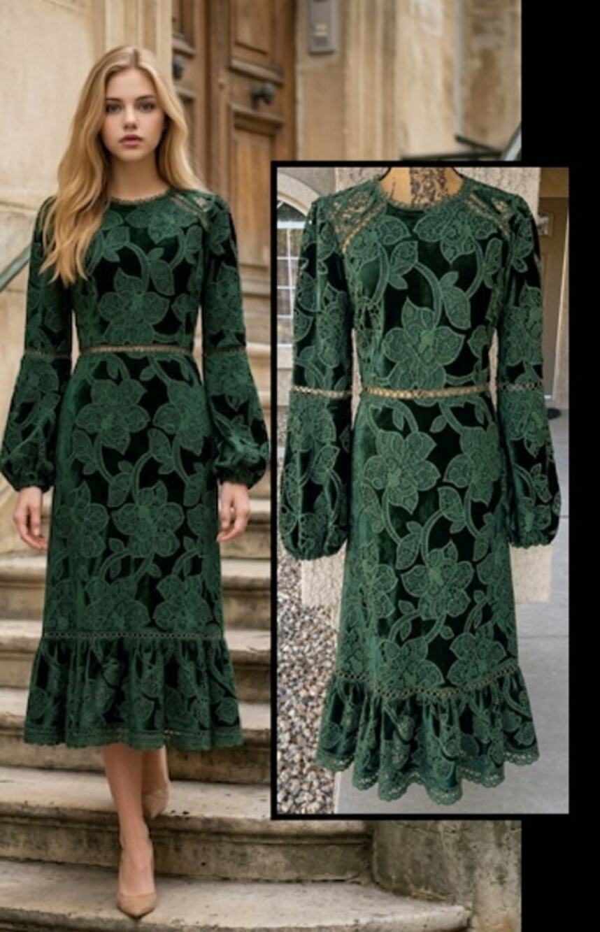 Petal & Pup Pierre Long Sleeve Velvet Floral Midi Dress Size XL